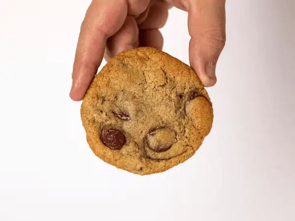 Chocolate Chip Fat Cookie